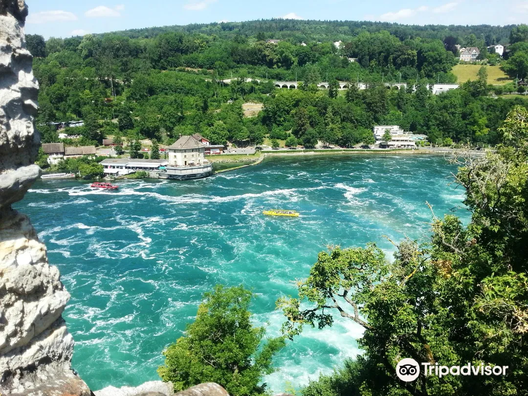 3_Rhine Falls