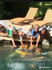 Koi Whisperer Sanctuary