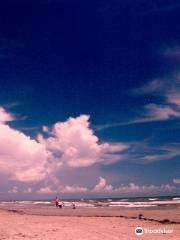 Galveston Island State Park