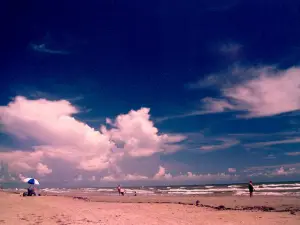 Galveston Island State Park