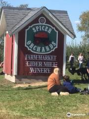 Spicers Orchards