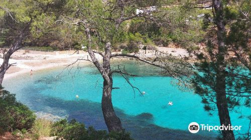 Cala Murta