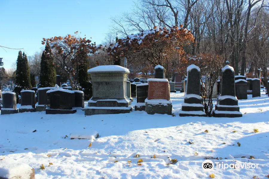 Mount Royal Cemetery