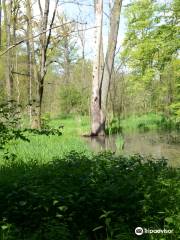 Dolina Bystrzycy Landscape Park