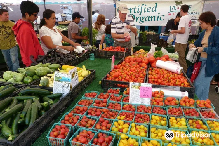 Santa Monica Farmers Market