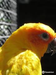 Zoo Parque Loro Puebla