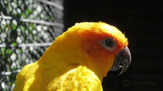 Zoo Parque Loro Puebla