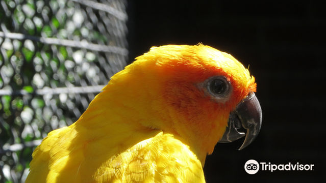 Zoo Parque Loro Puebla