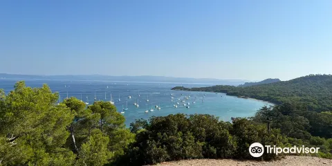 Plage de la Courtade
