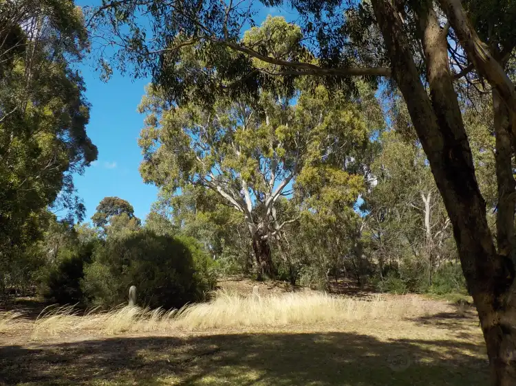 Hotels in Essendon Fields