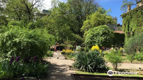 Brera Botanical Garden