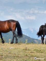 Pollino UNESCO Global Geopark