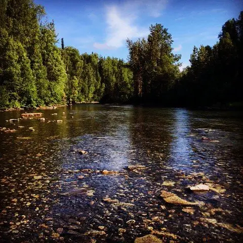 Susitna North