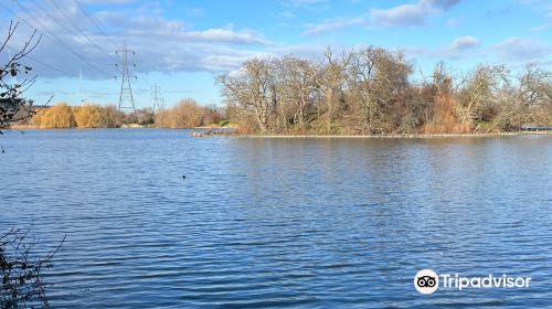 Walthamstow Wetlands