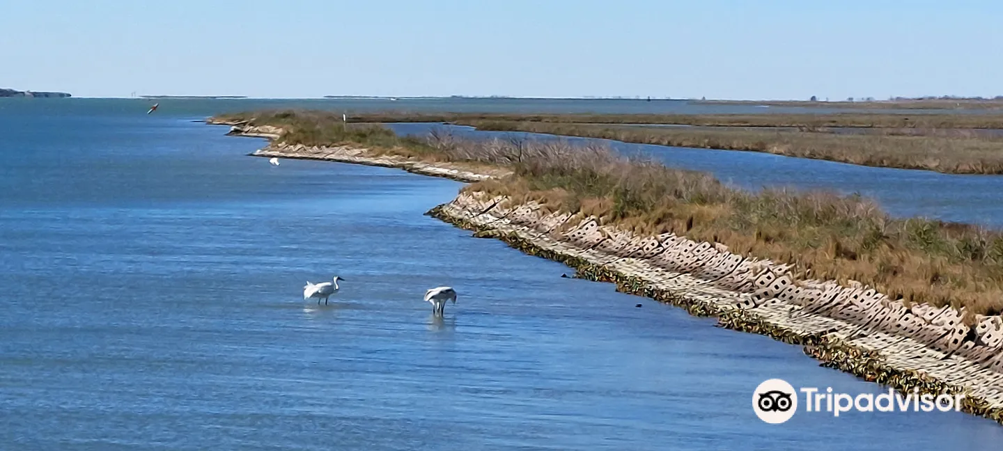 3_Rockport Birding and Kayak Adventures