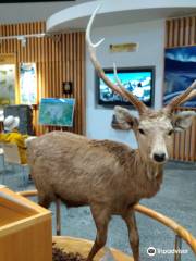 Sounkyo Visitor Center