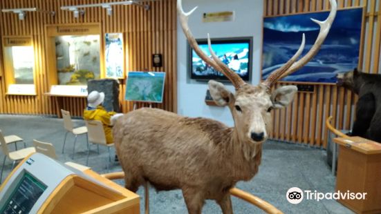 Sounkyo Visitor Center