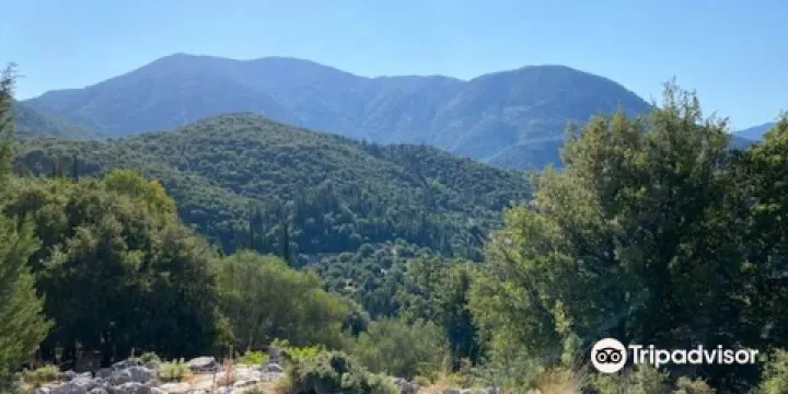 Bavarian Horse Riding Stable