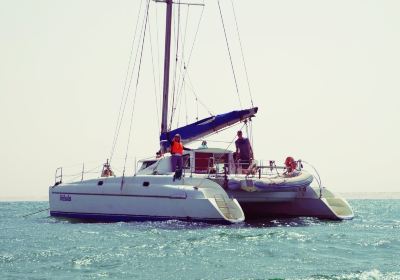 Sahara Sailing