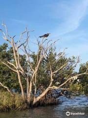 Turtle Mound River Tours