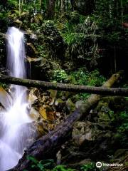 Air Terjun Jeram Toi