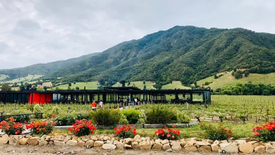 Colchagua Valley