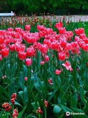 Poldertuin Anna Paulowna, Klein Keukenhof