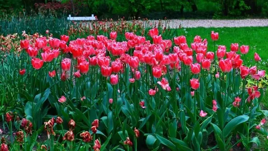 Poldertuin Anna Paulowna, Klein Keukenhof