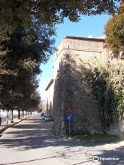 Mura Etrusche