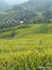 Long Sheng's Dragon Spine Rice Terraces