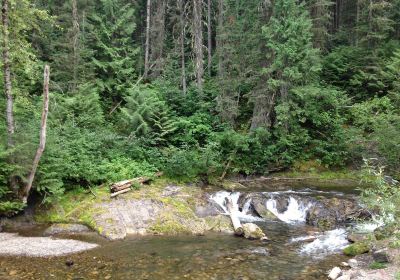 Mount Fernie Provincial Park