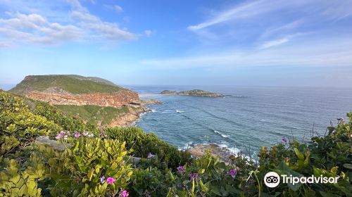 Robberg Nature Reserve