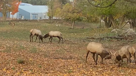 Gaylord's City Elk Park