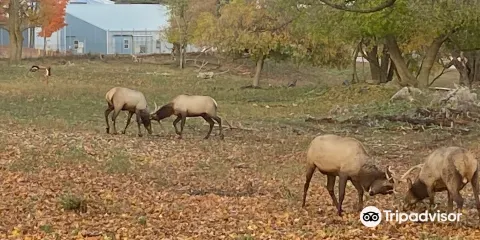 Gaylord's City Elk Park