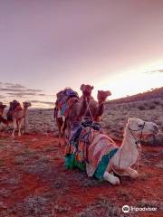 Camel Treks Australia