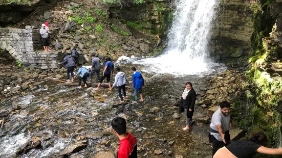 Hilton Falls Conservation Area