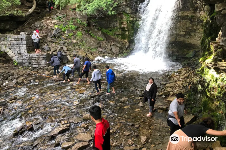 Hilton Falls Conservation Area