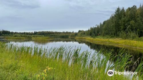 Wedgewood Wildlife Sanctuary