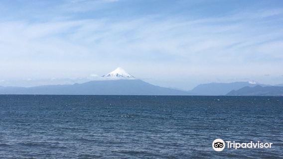 Playa Los Cisnes
