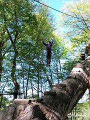 Tarz en Arbres