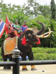 Samphran Elephant Ground And Zoo