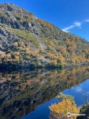 Tasmanian Walking Company