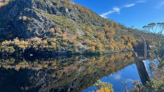 Tasmanian Walking Company