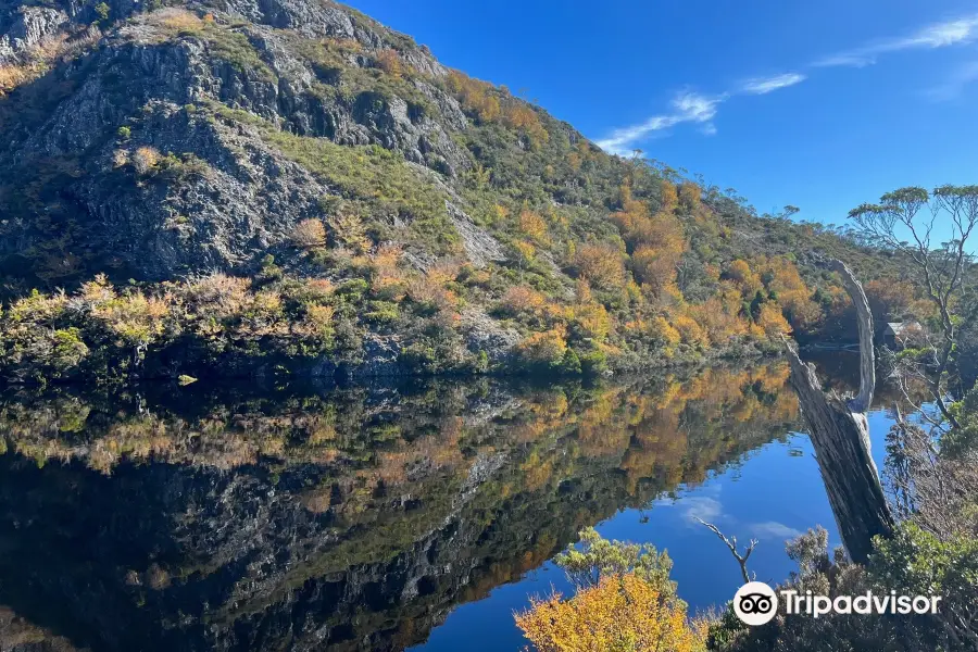 Tasmanian Walking Company