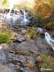 Amicalola Falls State Park