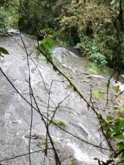 agence de tourisme La cueva esplendor