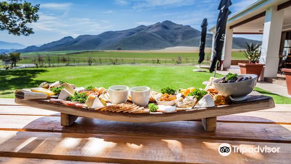 Stettyn Family Vineyards