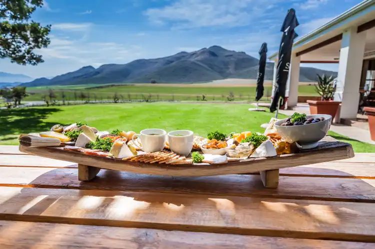 Cape Winelands