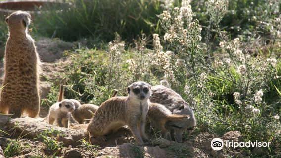Izmir Wildlife Park