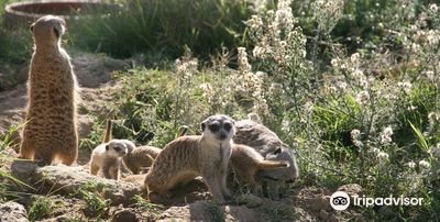Izmir Wildlife Park
